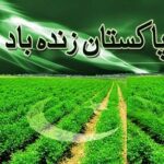 !عید آزادی اور بھارتی کارستانیاں ۔ ۔ ۔ !عید آزادی اور بھارتی کارستانیاں ۔ ۔ ۔
